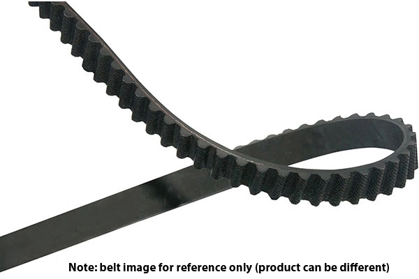 Timing Belt